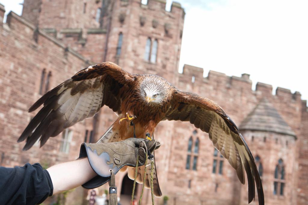 Peckforton Castle Tarporley Exterior foto